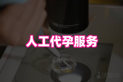 杭州助孕网站 2