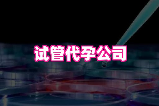 杭州助孕网站 4